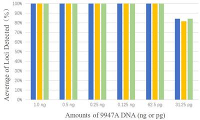 Development and Validation of a Forensic Multiplex System With 38 X-InDel Loci